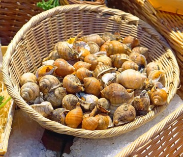 Edible snails in basket at french market