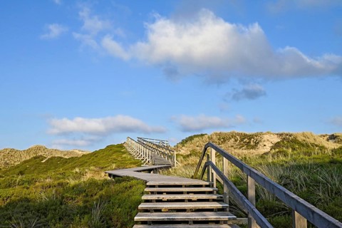 Boardwalk in the Amrum dunes nature reserve near Norddorf, Amrum, North Frisian Island, North