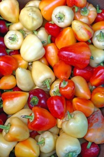 Chili peppers at farmers market