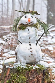 Snowman on a tree stump with a carrot for a nose, buttons, a branch for arms and pine needles for