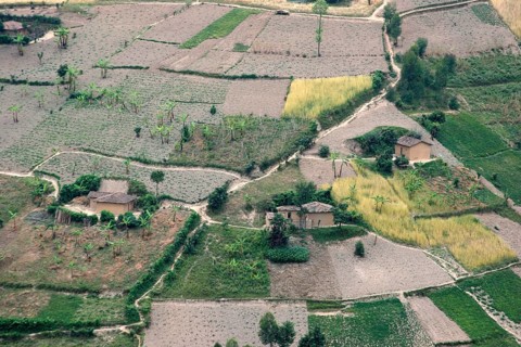 Arable land with fields and farms after deforestation of the rainforest in the hills, Rwanda,
