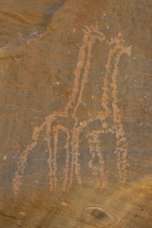 Rock engravings of two giraffes from the Neolithic period, Sabu, Nubia, Sudan, Africa
