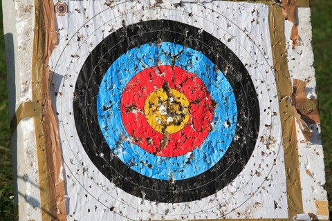 Sport, shot target during archery