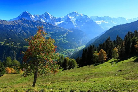 Lauterbrunnen Valley, Eiger, 3970 m, Mönch, 4107 m, and Jungfrau, 4158 m, view from Sulwald,