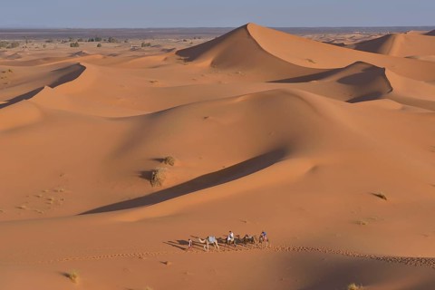 Tourists riding camels in the dunes, Sahara, Meknès-Tafilalet region, Morocco, Africa