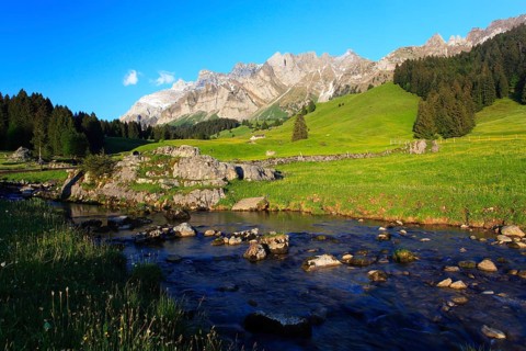 Mountain stream, Alpstein massif with Säntis, Appenzell, Switzerland, Europe