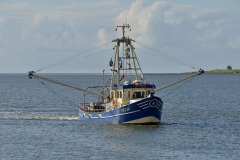 Fishing boat off Pellworm island, North Frisia, Schleswig-Holstein, Germany, Europe