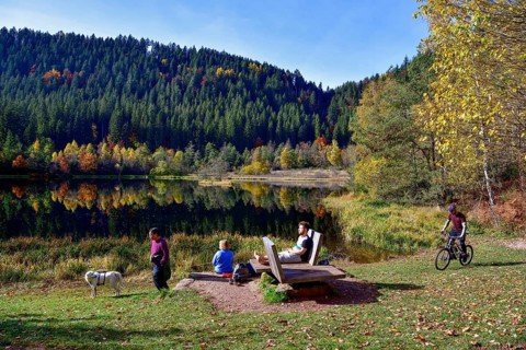 Hikers at Lake Sankenbach, Karsee, autumn, near Baiersbronn, Freudenstadt district, Black Forest,