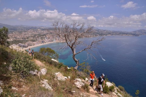 Coast at Calp with the Playa Levante beach, from Peñón de Ifach rock, Calp, Costa Blanca, Alicante