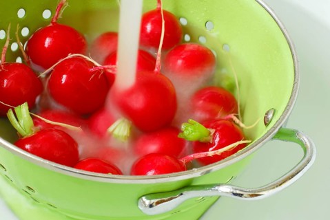 Red Radish (Raphanus sativus var. sativus) in bowl, wash, clean, rinse