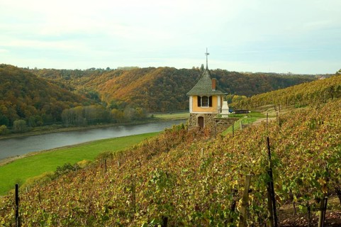 Winery near Meissen