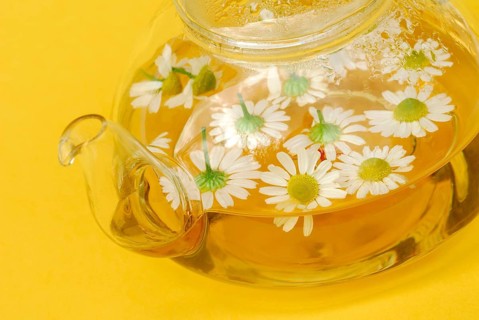 Pot with chamomile tea and chamomile flowers , German chamomile (Chamomilla recutita) (Matricaria