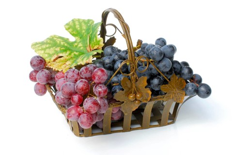 Grapes in basket (Vitis vinifera)