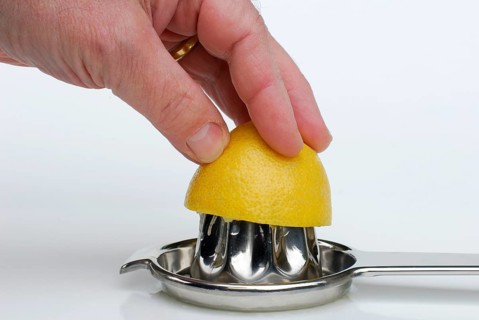 Lemonspress (Citrus limon) and lemon