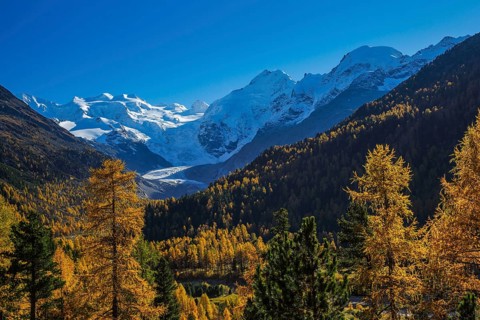 Piz Palü, 3905 m, Piz Bernina, 4049 m, Piz Morteratsch, 3751, Morteratsch Glacier, Upper Engadine,
