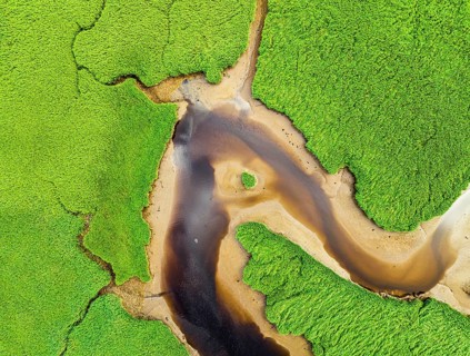Top Down over Sharpham Meadows and Marsh over River Dart from a drone, Totnes, Devon, England,