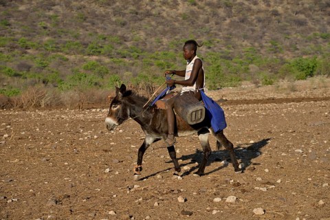 Young Himba shepherd riding on his donkey, Ombombo, Kaokoland, Kunene, Namibia, Africa