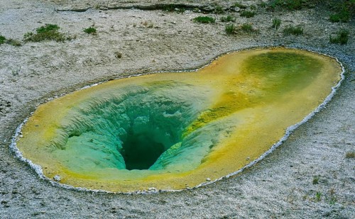 Belgian Geyser, Belgian Pool, hot spring in the Upper Geyser Basin of Yellowstone National Park,