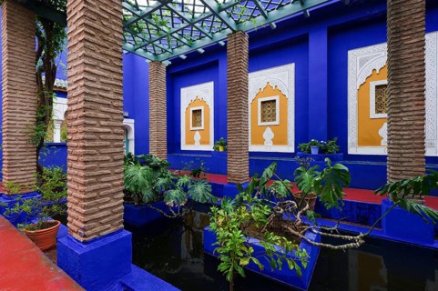 Morocco, Jardin Majorelle Botanical Garden in Marrakech, Africa