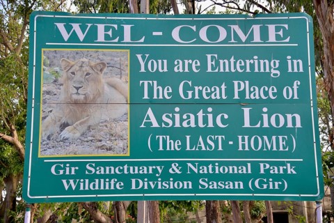 Picture of an Asiatic Lion on a sign at the entrance to the Gir National Park, Gir Forest National