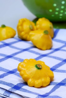 Patisson, mini patissons, on tea towel (Cucurbita pepo) , pumpkin, mitre