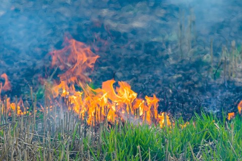 During controlled field fires, the firefighters were able to test various extinguishing methods,