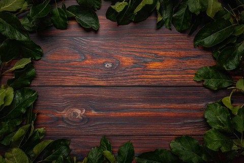 Frame of apple tree leaves on wood, copying room