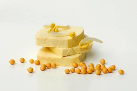 Tofu slices, sprouts, curd, bean curd, Sojabean