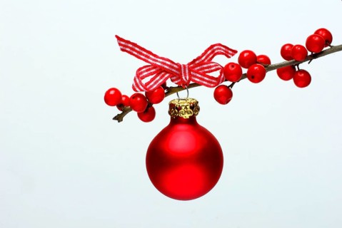 Christmas tree ball on branch (Ilex) with bow, holly