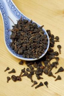 Cinnamon blossoms (Cinnamomum cassiae) (Cinnamomum aromaticum) cinnamon, cinnamon cloves, cassia