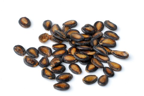 Black melon seeds, melon seeds