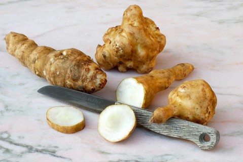 Jerusalem artichoke (Helianthus tuberosus) and knife, earth pear, earth artichoke