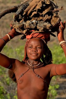Young Himba woman gathering wood, Ombombo, Kaokoland, Kunene, Namibia, Africa
