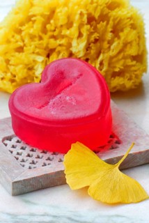 Rose soap, sponge and Ginkgoleaf (Ginkgo biloba), rose soap