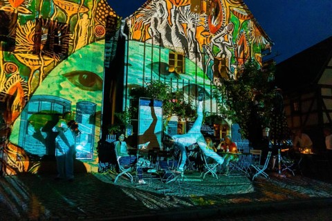 Midsummer Night's Dreams Projections by Claudia Reh, Florian Meyer, violin, Norbert Kegel dances