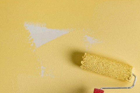Unfinished painted wall with paint roller