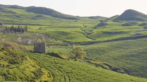 Green hilly landscape, flowering trees, fields, stone hut, Madonie National Park, spring, Sicily,