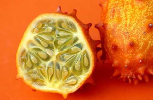 Horned pickle, prickly pickle, jelly pickle, Horned Melon (Cucumis metuliferus)