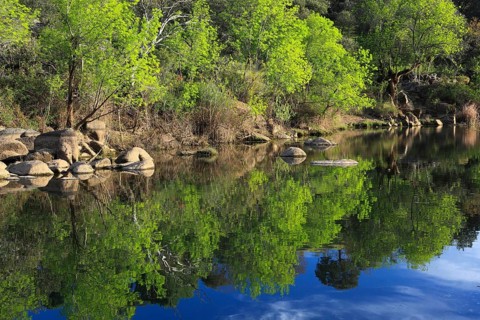 Rio Jandula, Sierra de Andujar National Park, Jaon Province, Andalusia, Spain, Europe