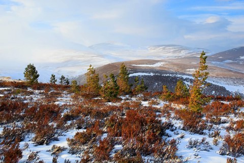 Cairngorms Mountains, Cairngorms National Park, Scotland, United Kingdom, Europe
