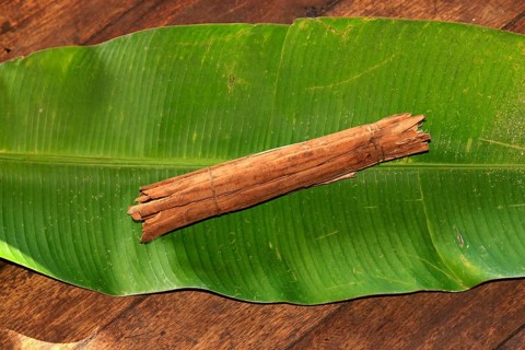 Cinnamon on banana leaf, Nosy true cinnamon tree (Cinnamomum verum), Madagascar, Africa