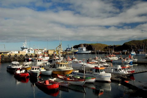 Boats in harbour, Stykkisholmur, Vesturland, Snaefellsnes Peninsula, Iceland, Europe