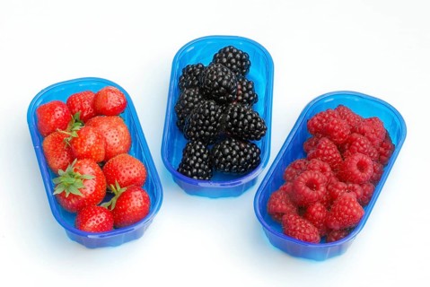 Raspberries (Rubus idaeus) Strawberries, Rubus fruticosus (Rubus fruticosus) in shells (Fragaria x