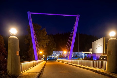 The Saxon State Spa Bad Elster has installed an impressive lighting system. A fascinating world of