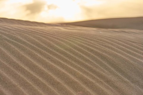 Beach "Platja del Fangar", sand dunes, Vegetation, nature reserve, ebro delta, Catalonia, Spain,