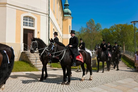 Every year at Easter there are about 5 processions in Lusatia, each with about 200 riders. The