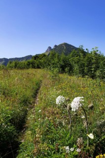 Mountain landscape, hiking trail from the Feichtensteinalm to the Regenspitz, Osterhorngruppe,
