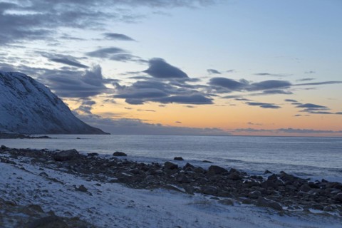 Lofoten coast near Eggum, Lofoten, Norway, Europe