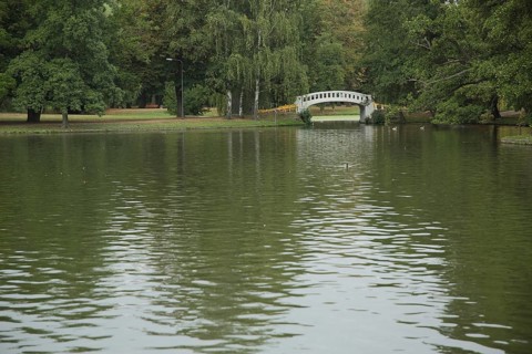 Pond with bridge in the municipal park of Höchst, Main, Frankfurt, Hesse, Germany, Europe