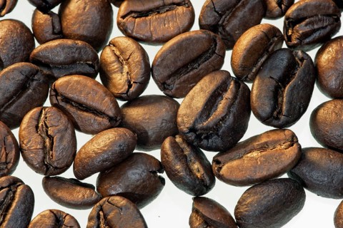 Coffee tree (Coffea), coffee beans, coffee bean